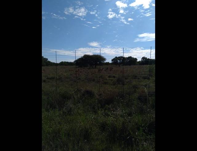 LAND FOR SALE IN DINOKENG
